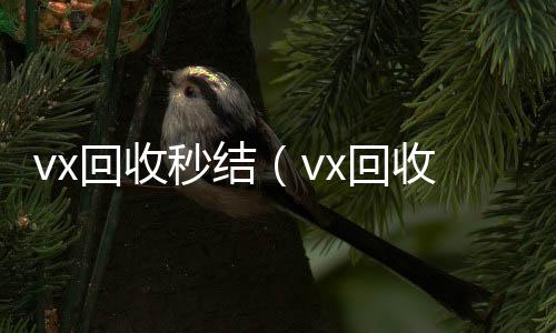 vx回收秒结微信回收正规平台（vx回收秒结500）